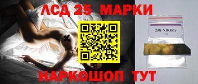 ешки Кингисепп