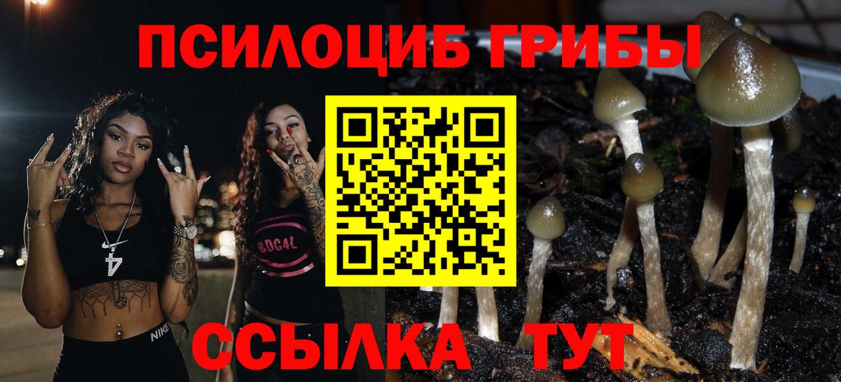 ГАШ  Бошки Шишки  КОКАИН  МЕФ   Вход с VPN  Крымск  Магазины продажи наркотиков 